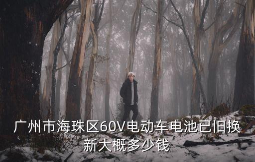 廣州市海珠區60V電動車電池已舊換新大概多少錢