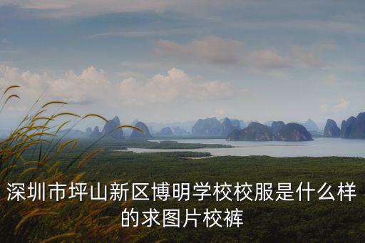 深圳校服褲，深圳市坪山新區博明學校校服是什么樣的求圖片校褲