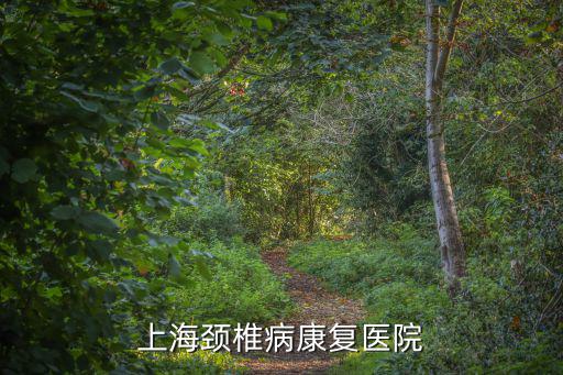上海頸椎病康復(fù)醫(yī)院