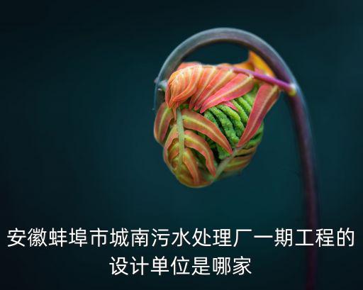 安徽蚌埠市城南污水處理廠一期工程的設計單位是哪家