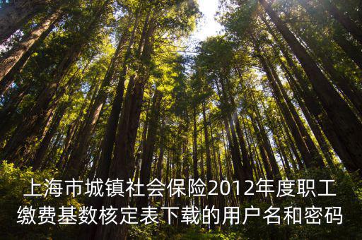 上海市城鎮社會保險2012年度職工繳費基數核定表下載的用戶名和密碼