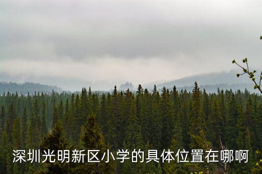 深圳光明新區(qū)小學(xué)的具體位置在哪啊