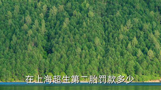 在上海超生第二胎罰款多少