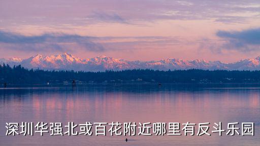 深圳 哪 反斗城 大，深圳玩具反斗城在哪里啊