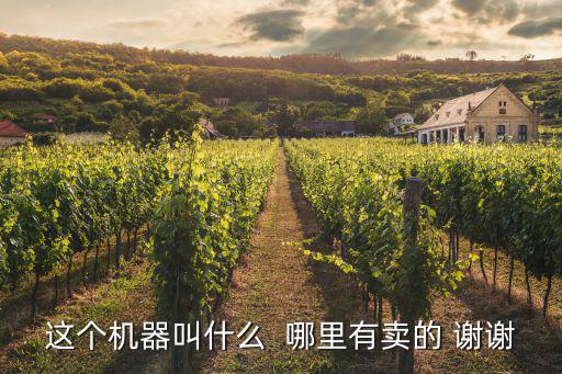 這個機器叫什么  哪里有賣的 謝謝