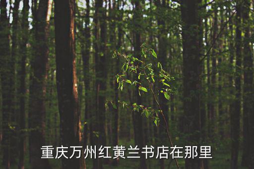 重慶萬州紅黃蘭書店在那里