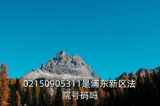 02150905311是浦東新區法院號碼嗎