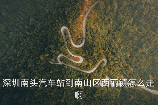 深圳南頭汽車站到南山區西麗鎮怎么走啊