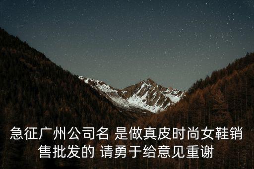 廣州市中義貿易有限公司，急征廣州公司名 是做真皮時尚女鞋銷售批發的 請勇于給意見重謝
