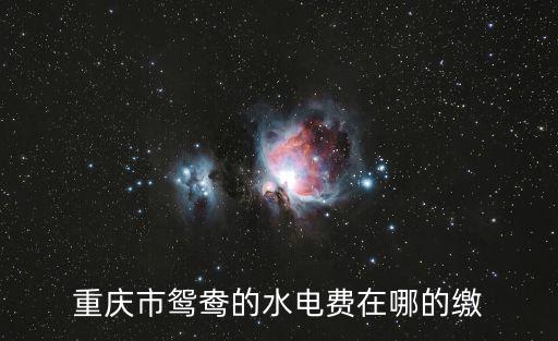 重慶市鴛鴦的水電費在哪的繳