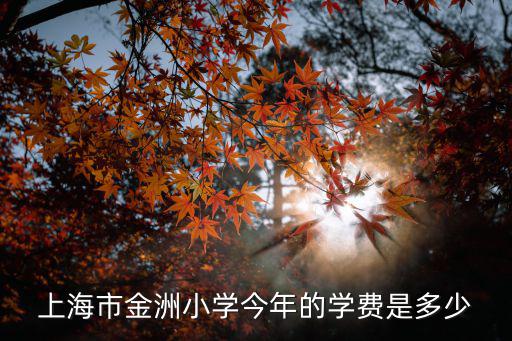 上海市金洲小學今年的學費是多少