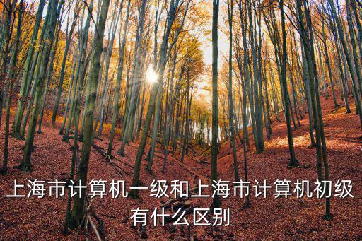 上海市食藥監認證評審中心，上海中心手機維修站在哪里
