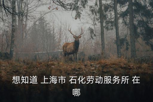 上海市金山區(qū)石化十二村，上海置準(zhǔn)安全檢測檢驗有限公司地址