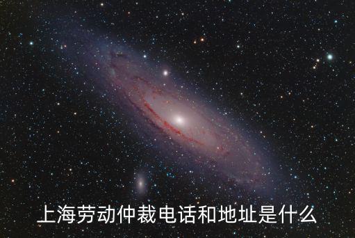 上海市勞動仲裁院地址電話號碼，上海勞動仲裁監察大隊號碼是多少