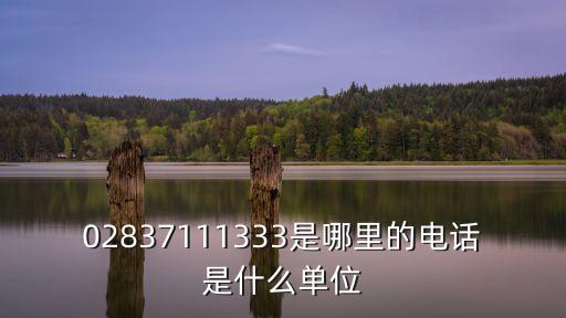 02837111333是哪里的電話是什么單位