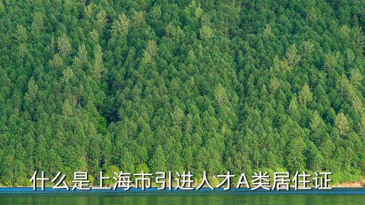 什么是上海市引進人才A類居住證