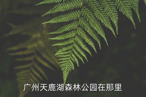廣州天鹿湖森林公園在那里
