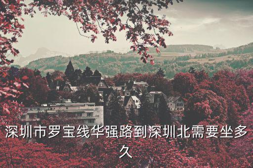 深圳市羅寶線華強路到深圳北需要坐多久