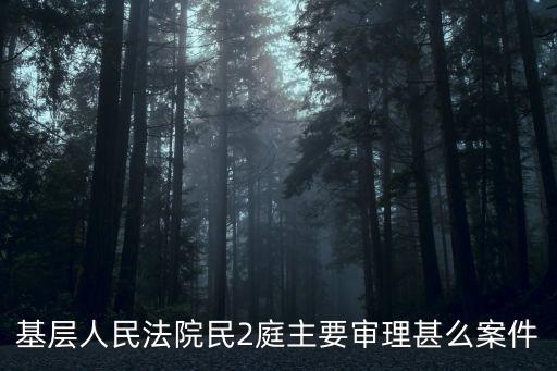 基層人民法院民2庭主要審理甚么案件