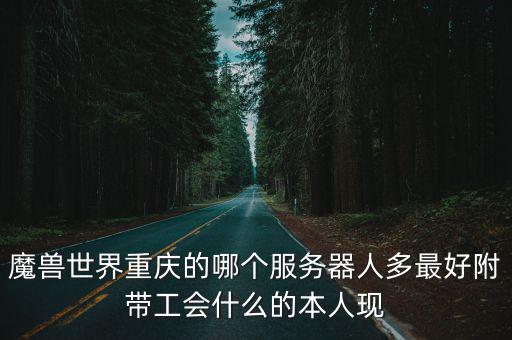 魔獸世界重慶的哪個服務器人多最好附帶工會什么的本人現