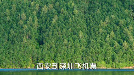 西安到深圳飛機票
