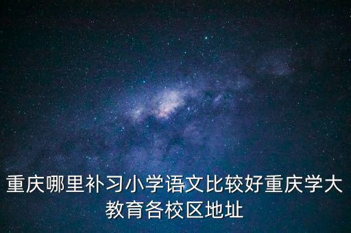 重慶哪里補習小學語文比較好重慶學大教育各校區地址