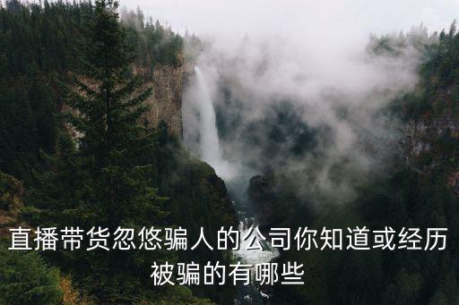直播帶貨忽悠騙人的公司你知道或經歷被騙的有哪些
