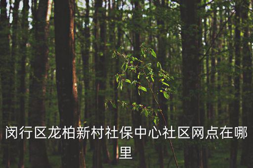 上海市閔行區(qū)社保卡辦理網點，上海閔行區(qū)外來人口綜合保險辦理的地址在哪里我要補辦醫(yī)療保險卡