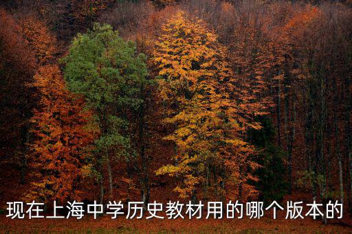 上海市歷史課本八年級下冊，關于上海市歷史的書籍