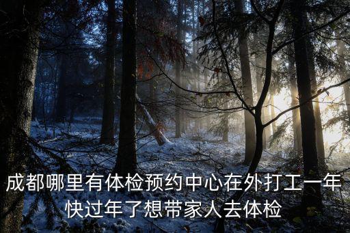 成都市從業人員體檢預約官網，從業人員健康體檢怎樣在支付寶預約