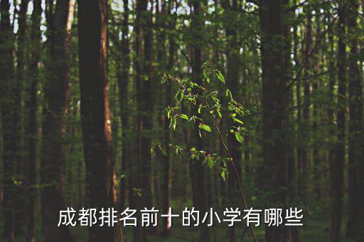 成都排名前十的小學(xué)有哪些