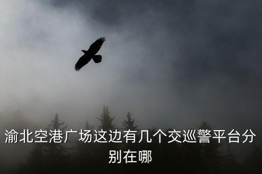 渝北空港廣場這邊有幾個交巡警平臺分別在哪