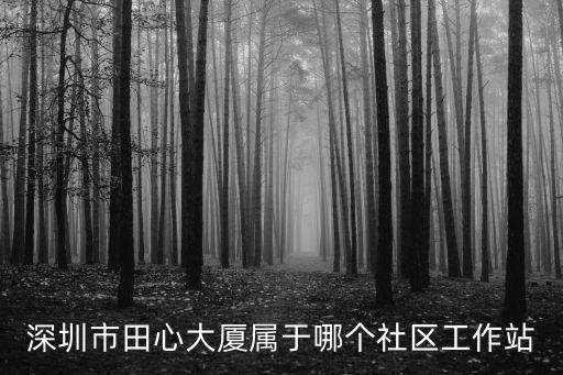 深圳市田心大廈屬于哪個社區工作站