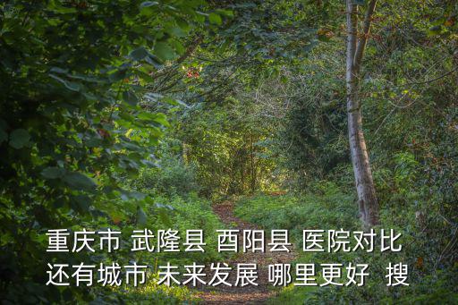 重慶市武隆縣上石院下石院，重慶江津區(qū)九龍破石在哪個(gè)鎮(zhèn)