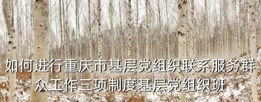 如何進(jìn)行重慶市基層黨組織聯(lián)系服務(wù)群眾工作三項(xiàng)制度基層黨組織班