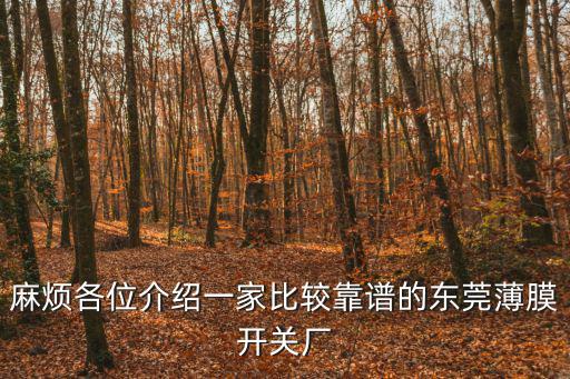 麻煩各位介紹一家比較靠譜的東莞薄膜開關廠