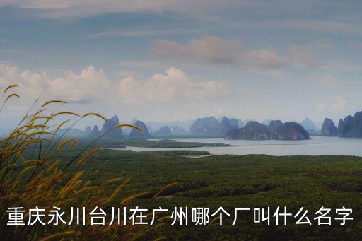 重慶永川臺川在廣州哪個廠叫什么名字