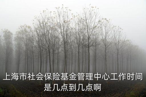 上海市社會保險基金管理中心工作時間是幾點到幾點啊