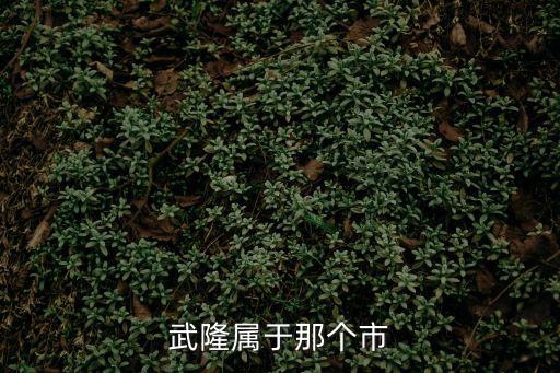 武隆屬于那個(gè)市