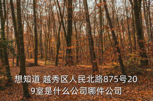 想知道 越秀區人民北路875號209室是什么公司哪件公司