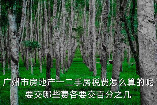 廣州市房地產(chǎn)一二手房稅費怎么算的呢要交哪些費各要交百分之幾