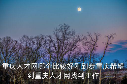 重慶人才網哪個比較好剛到步重慶希望到重慶人才網找到工作