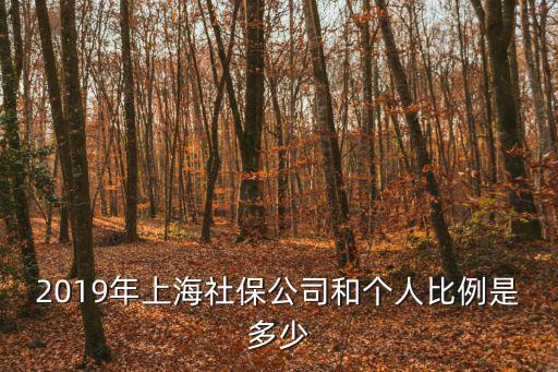 2019年上海社保公司和個人比例是多少