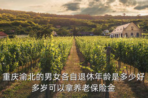 重慶渝北的男女各自退休年齡是多少好多歲可以拿養老保險金