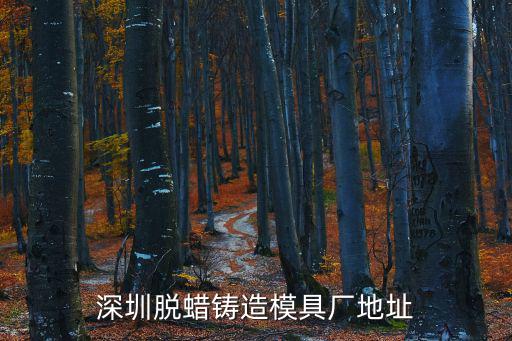 深圳脫蠟鑄造模具廠地址