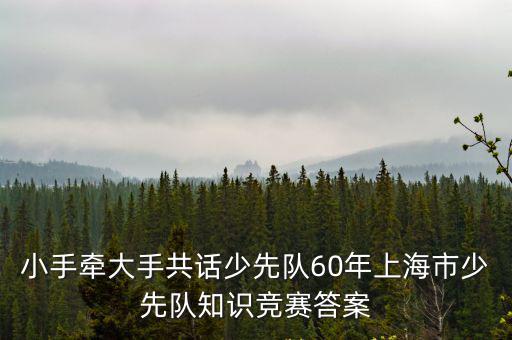 上海市小手牽大手試題答案，小手牽大手 共話少先隊60年知識競賽初賽的判斷題答案