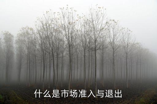 重慶市售電公司準入與退出，什么是市場準入與退出