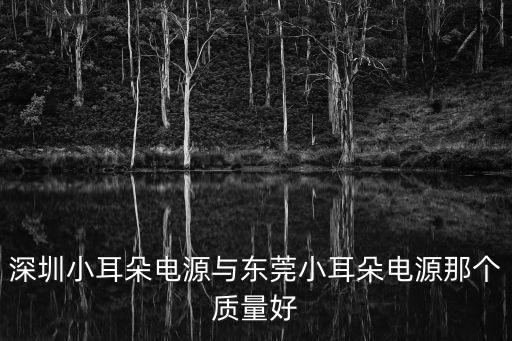 深圳小耳朵電源與東莞小耳朵電源那個(gè)質(zhì)量好