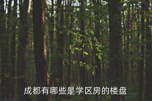 成都有哪些是學區房的樓盤
