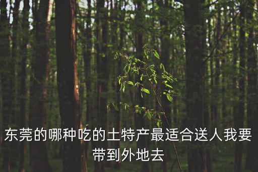 東莞的哪種吃的土特產最適合送人我要帶到外地去